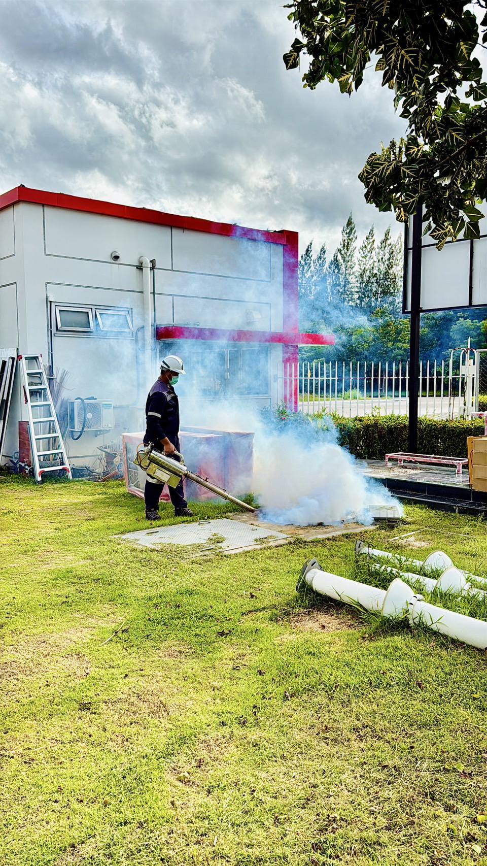 ยุงลาย (Aedes aegypti): ข้อมูลทางวิชาการและหลักการควบคุม