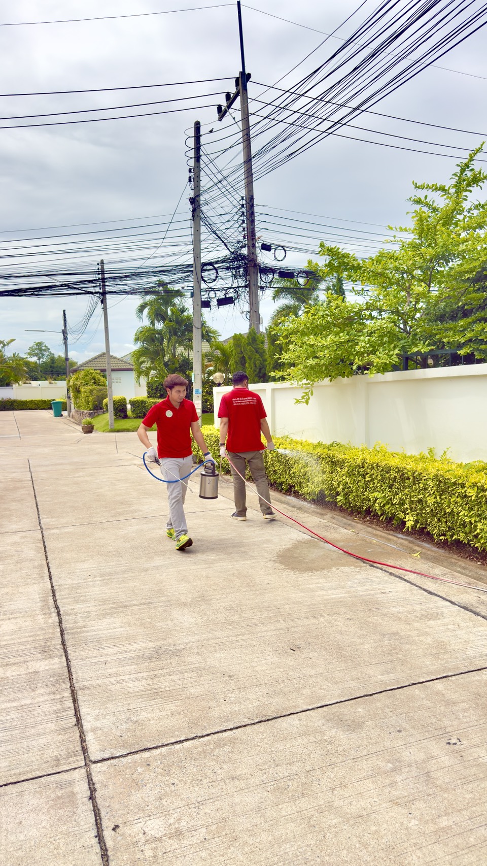 อัดน้ำยาเข้าท่อป้องกันปลวก แมลง รูปที่ 7