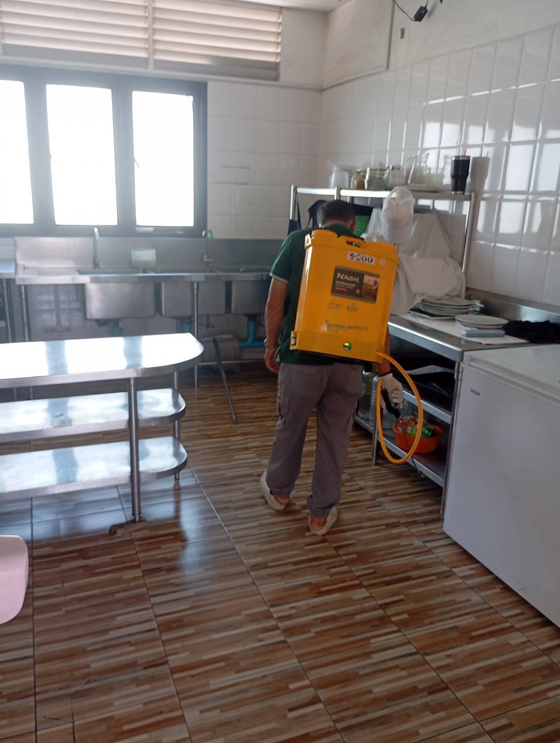 กำจัดแมลง ในโรงแรม pest control รูปที่ 7