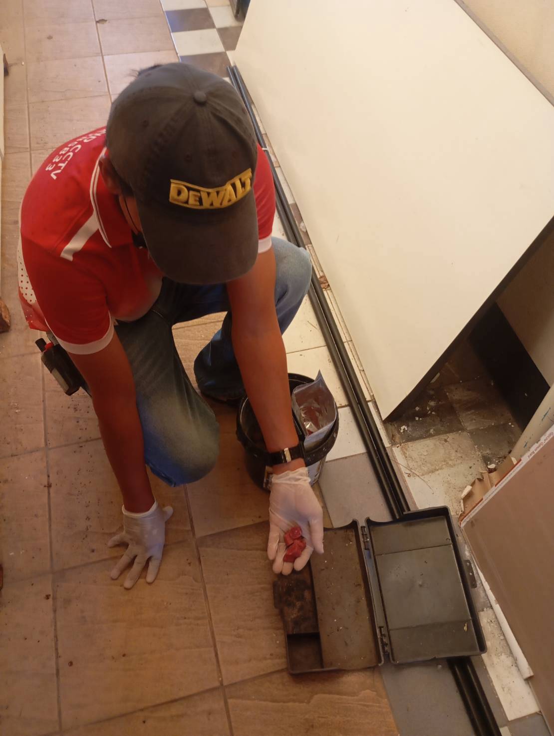 กำจัดแมลง ในโรงแรม pest control รูปที่ 3