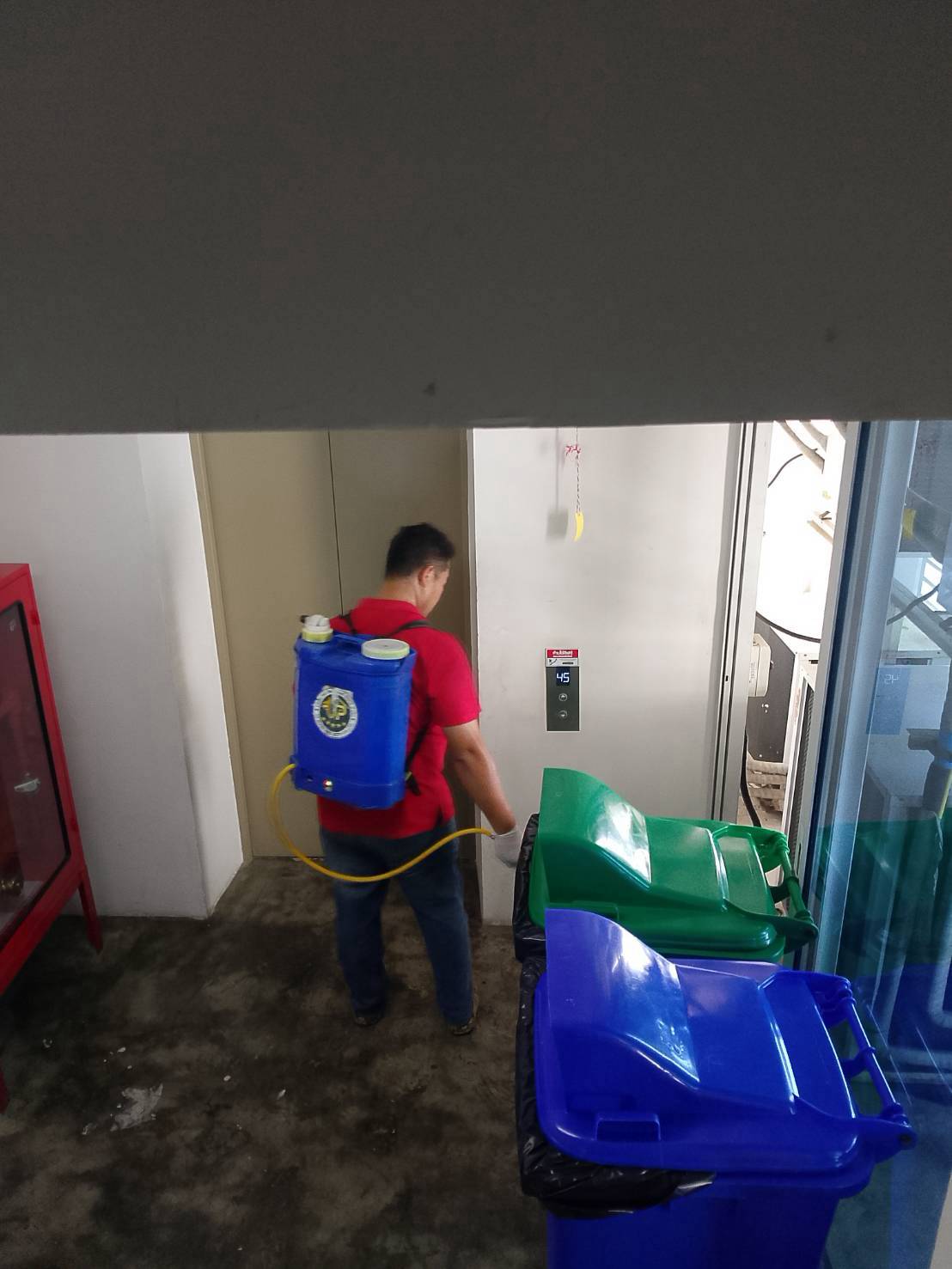 กำจัดแมลง คอนโด pest control รูปที่ 3