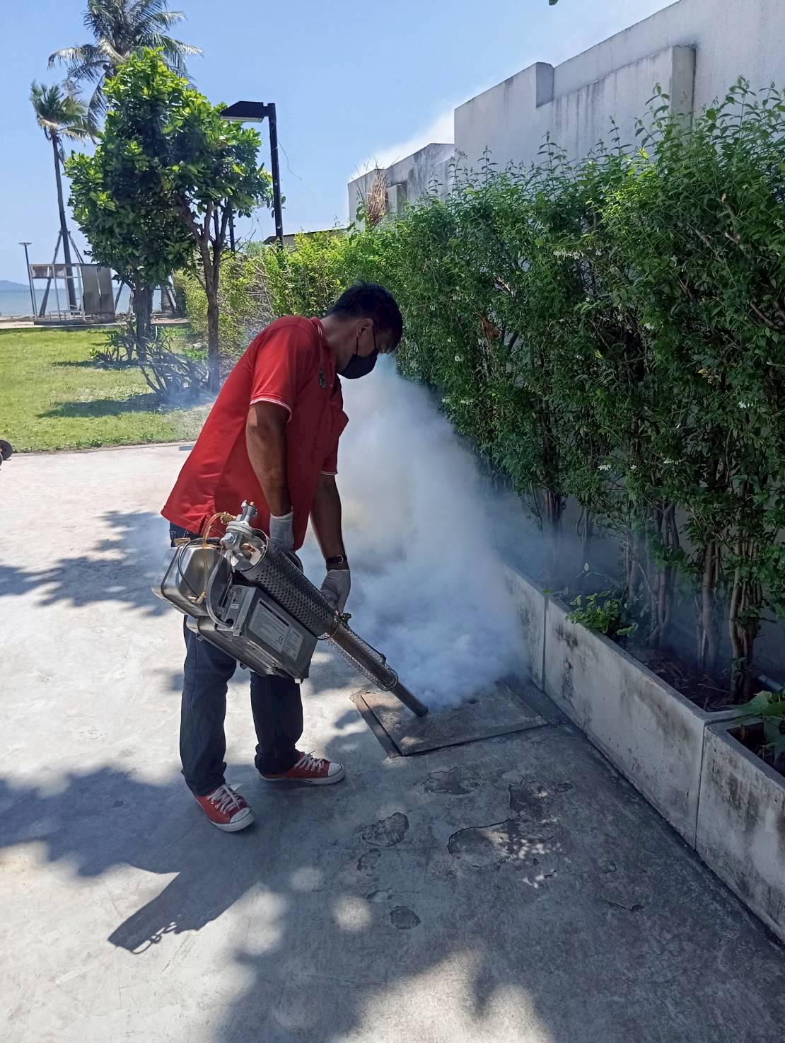 กำจัดแมลง คอนโด pest control รูปที่ 9