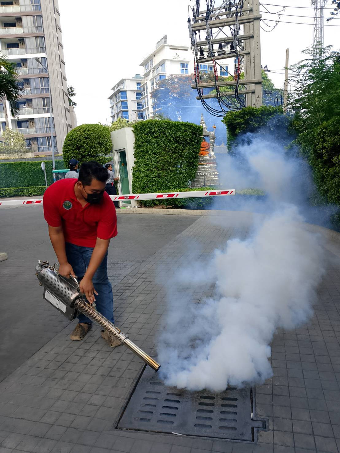 กำจัดแมลง คอนโด pest control รูปที่ 5