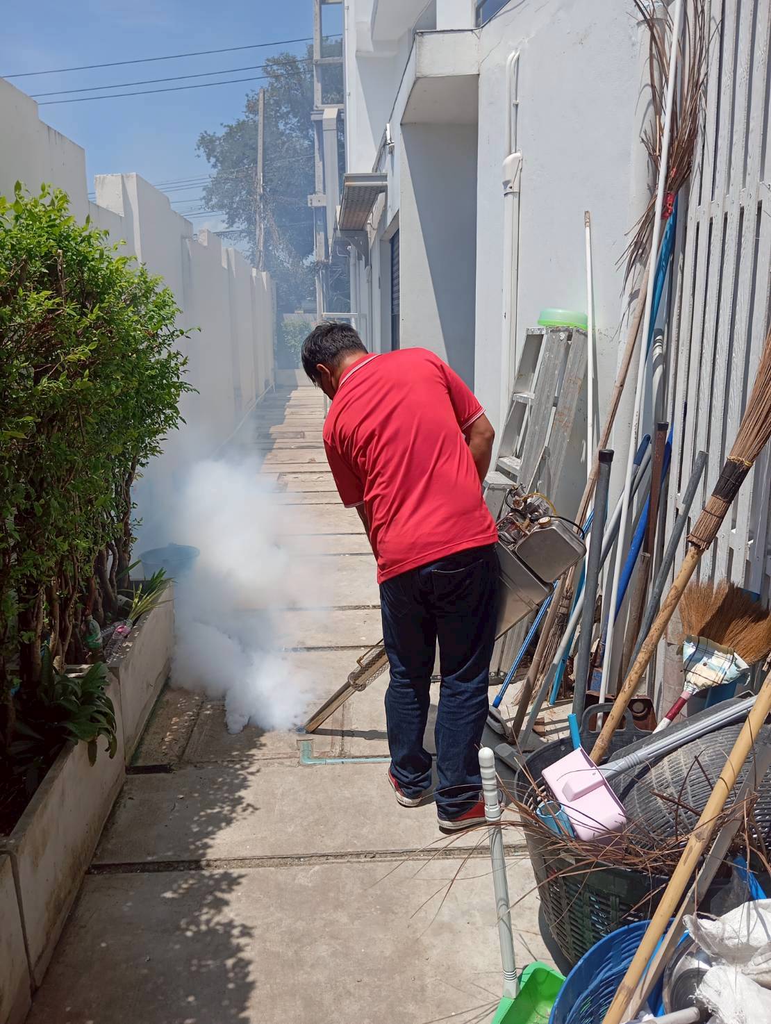 กำจัดแมลง คอนโด pest control รูปที่ 7