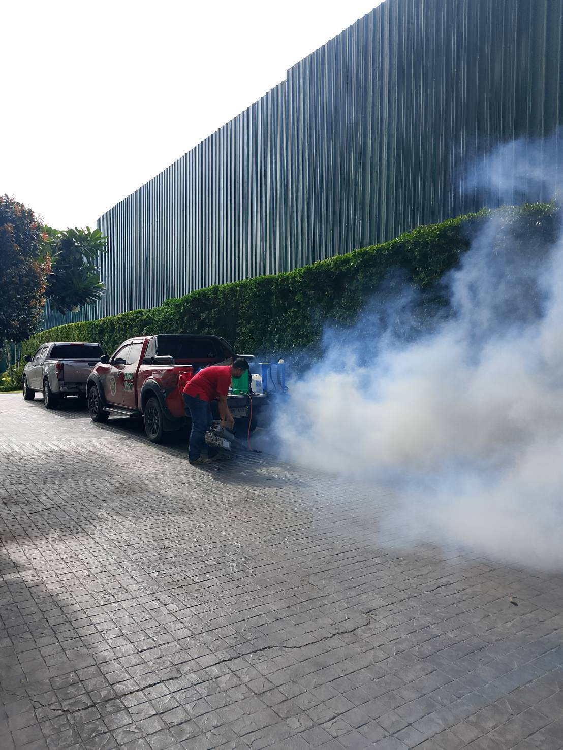 กำจัดแมลง คอนโด pest control รูปที่ 4