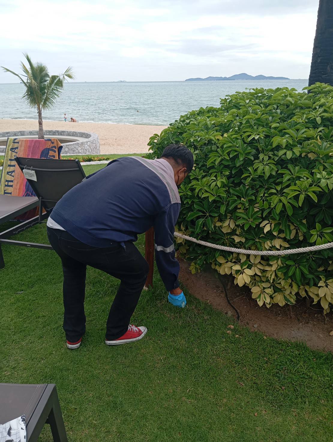 ป้องกันงู รอบคอนโด รูปที่ 2