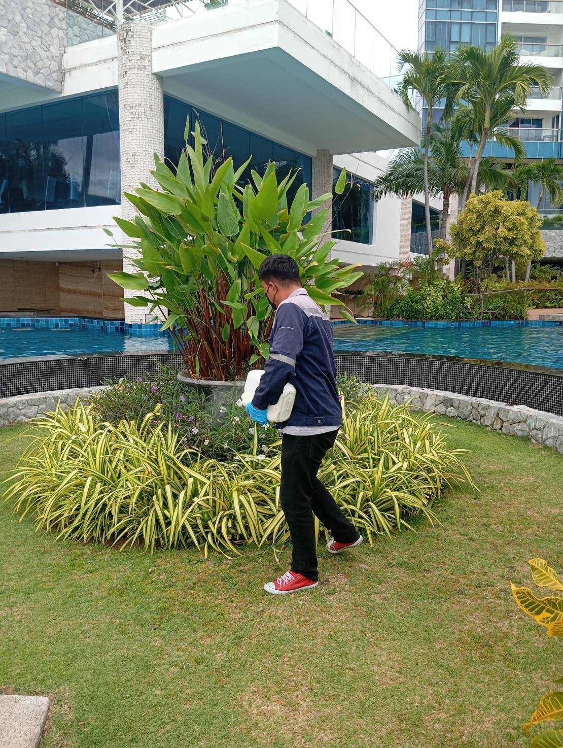 กำจัดงู